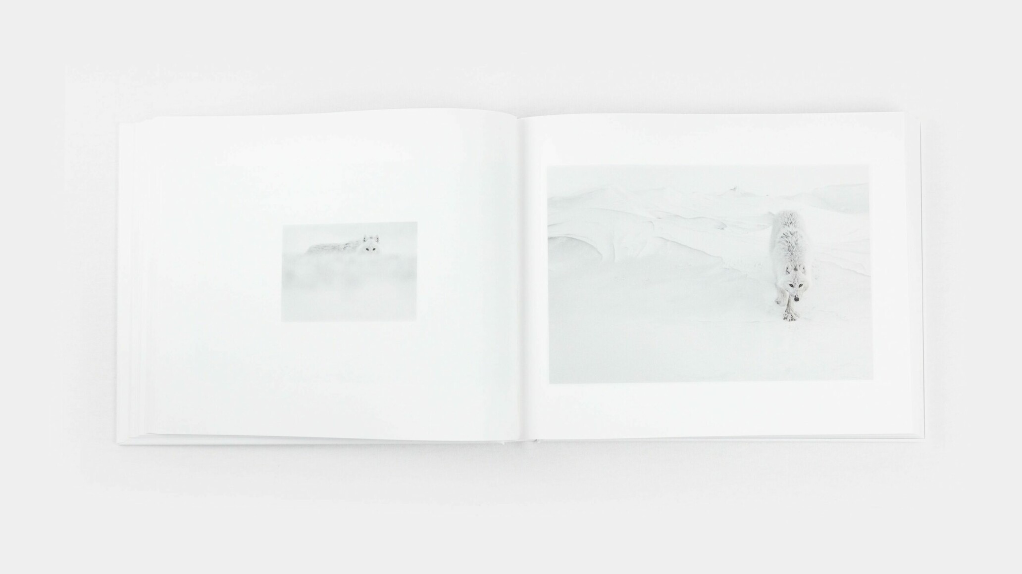ARCTIQUE Vincent Munier 写真集 Arctique - Vincent Munier - Kobalann