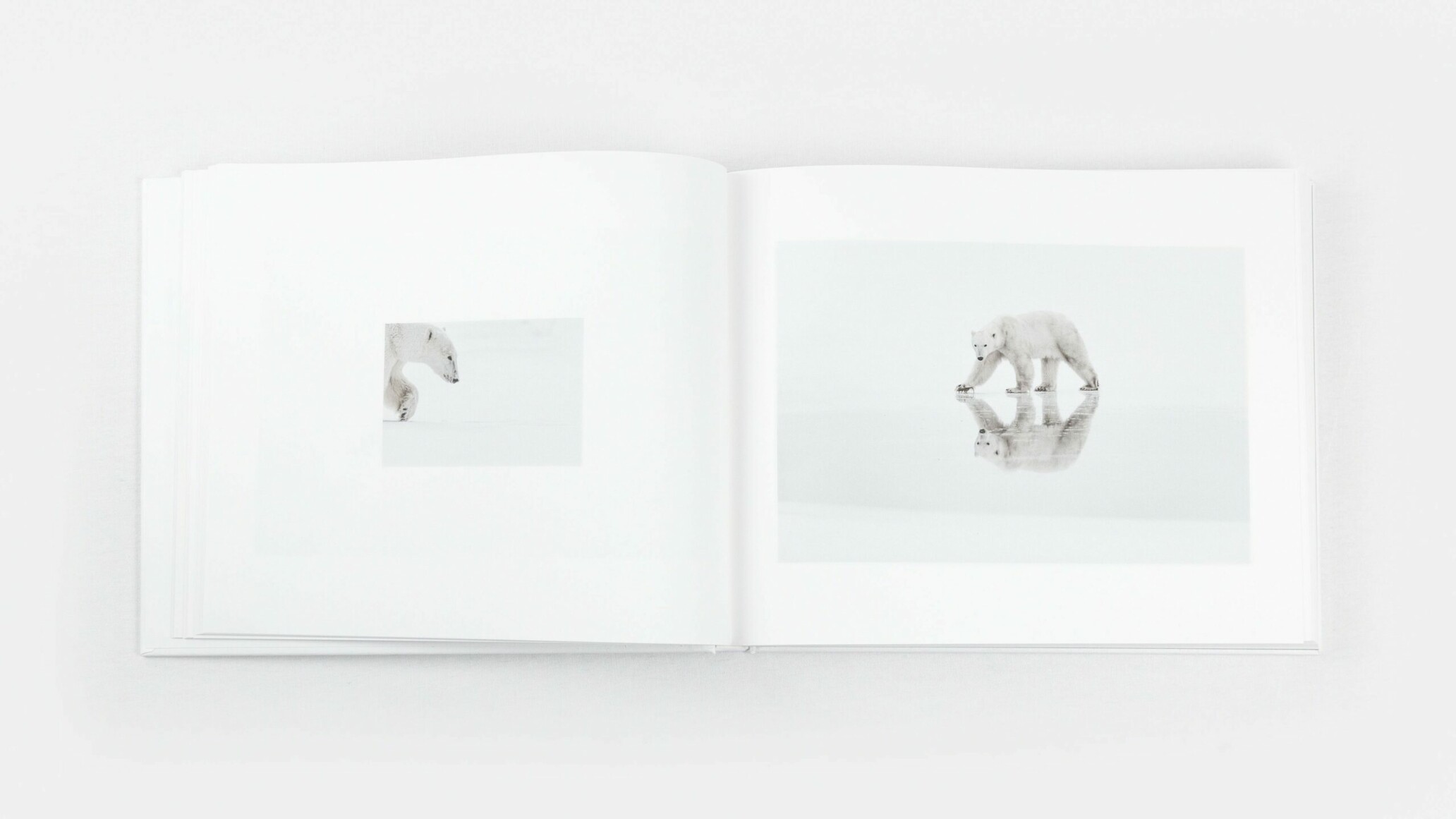 ARCTIQUE Vincent Munier 写真集 Arctique - Vincent Munier - Kobalann