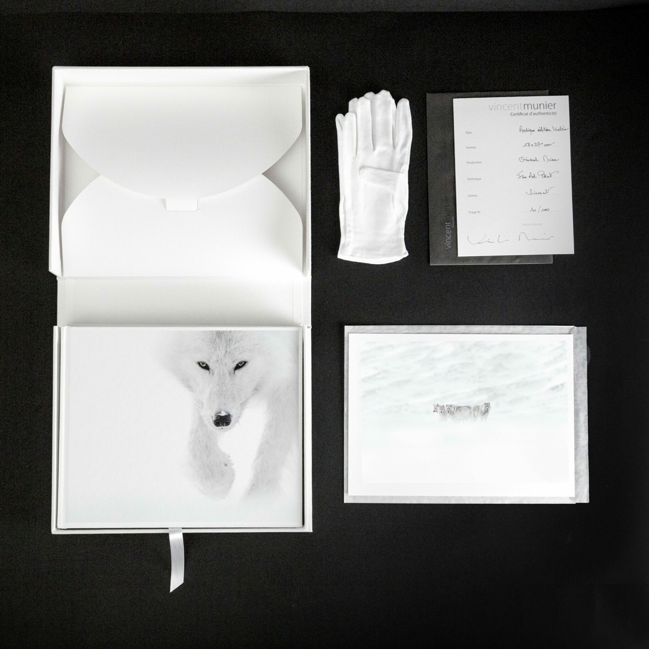 ARCTIQUE Vincent Munier 写真集 Arctique - Vincent Munier - Kobalann