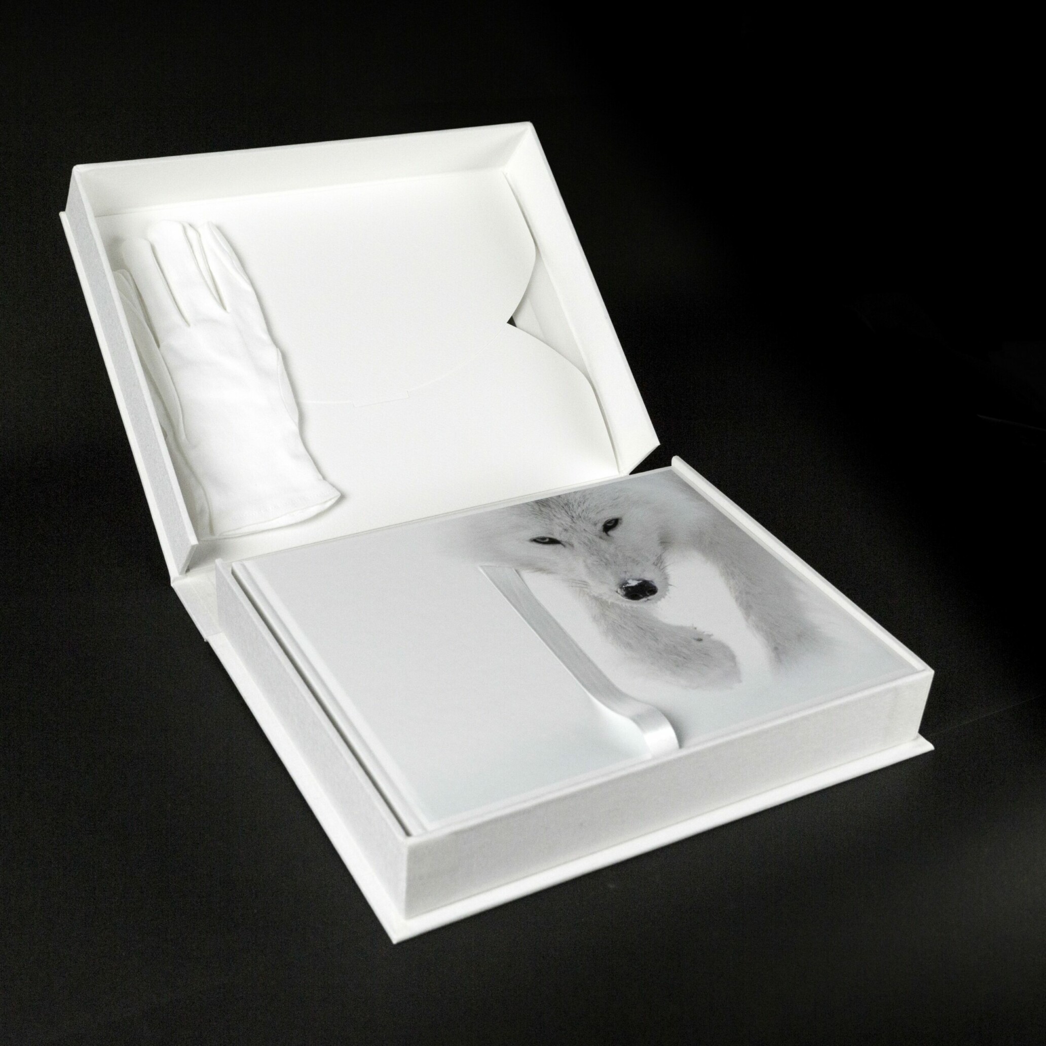 Arctique - édition limitée de luxe - Vincent Munier - Kobalann
