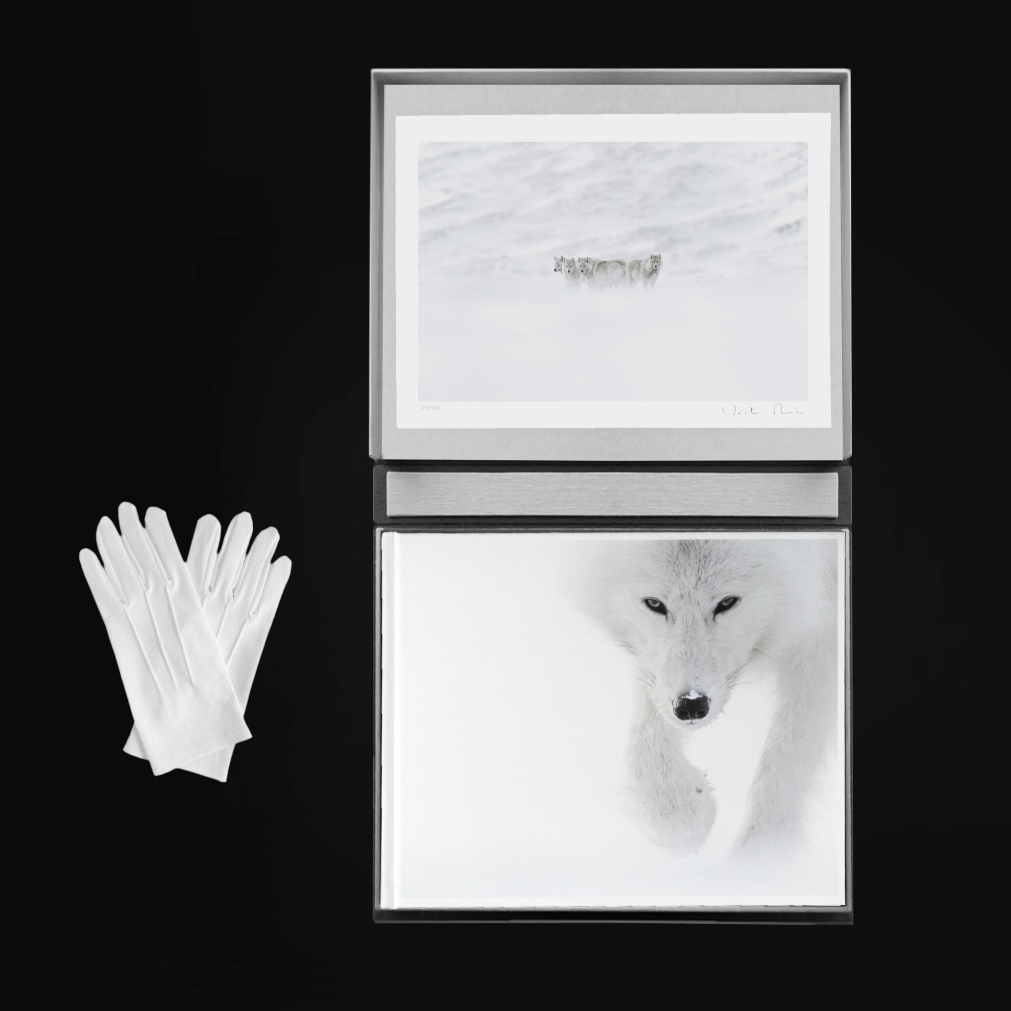 ARCTIQUE Vincent Munier 写真集 Arctique - Vincent Munier - Kobalann