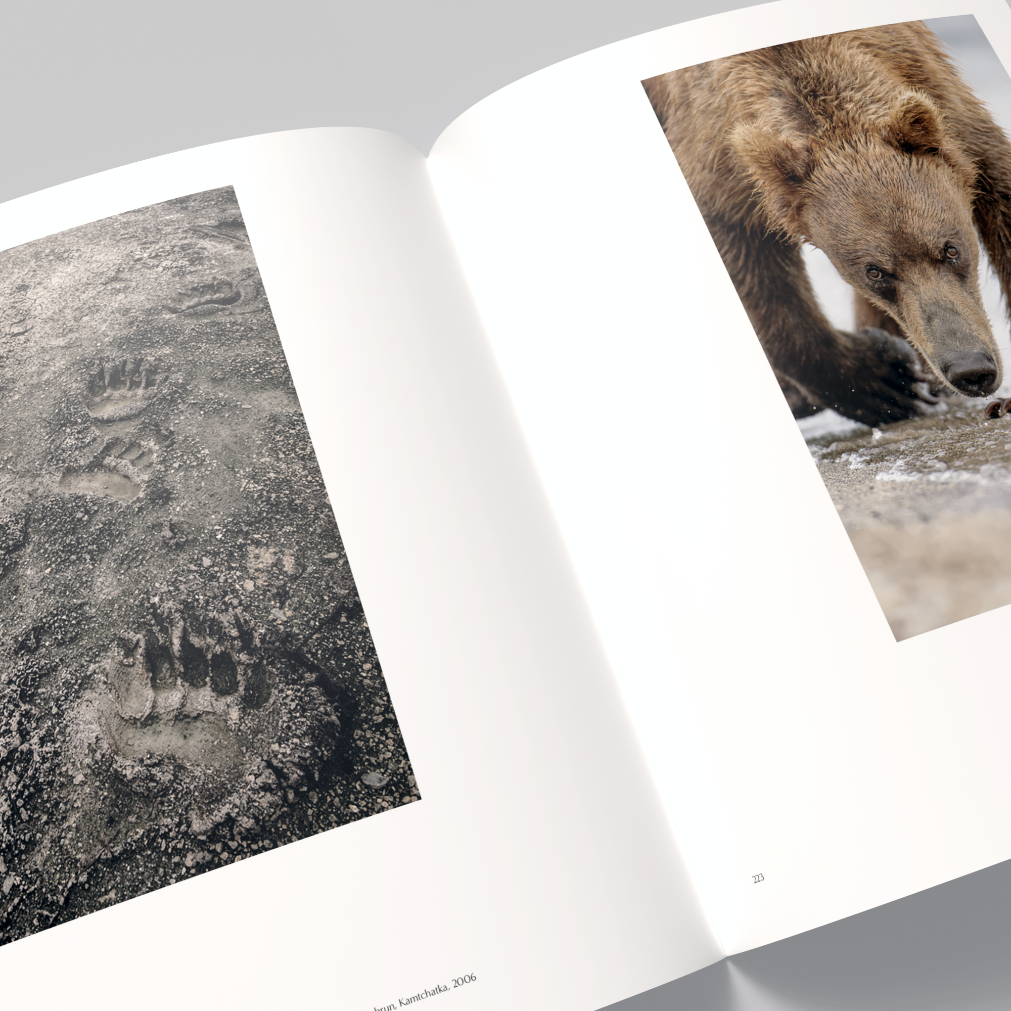 Vincent Munier, la monographie - Vincent Munier - Kobalann